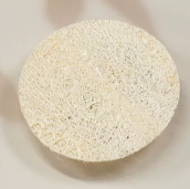 Loofah Pad