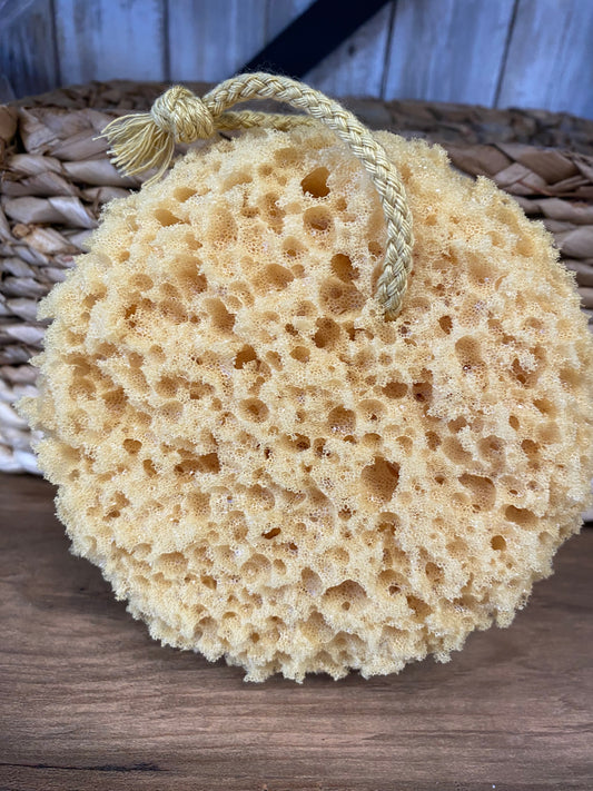 Sea Sponge - Foam
